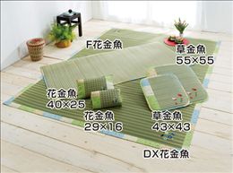 F花金魚　27_15